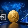 USDKG Stablecoin