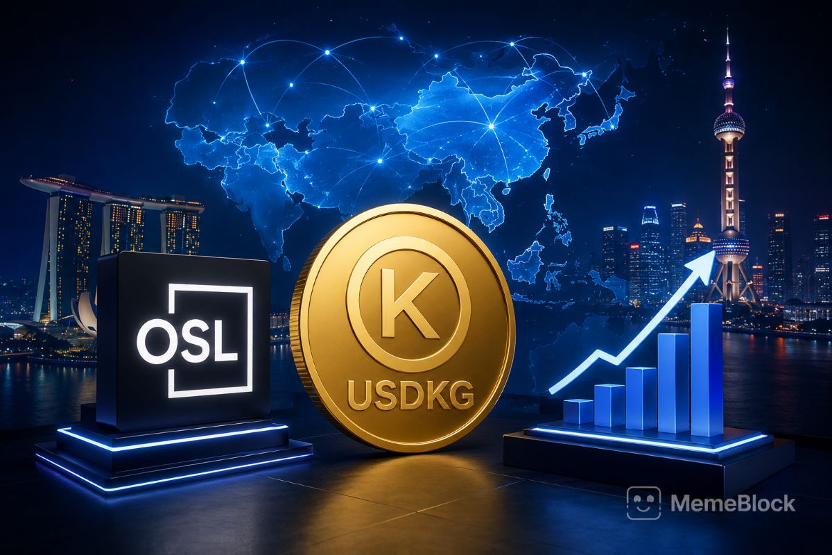 USDKG Stablecoin