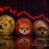 Memecoin Market Sentiment