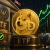 Dogecoin ETF (TDOG)