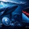 Ethereum Whales