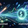 RealFi Public Testnet